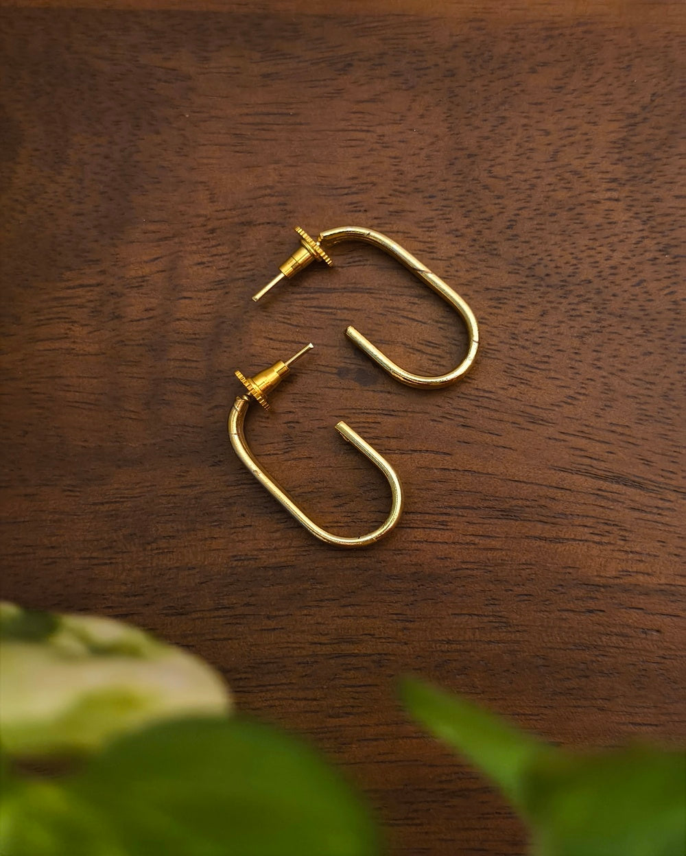 Trisha Golden Hoops