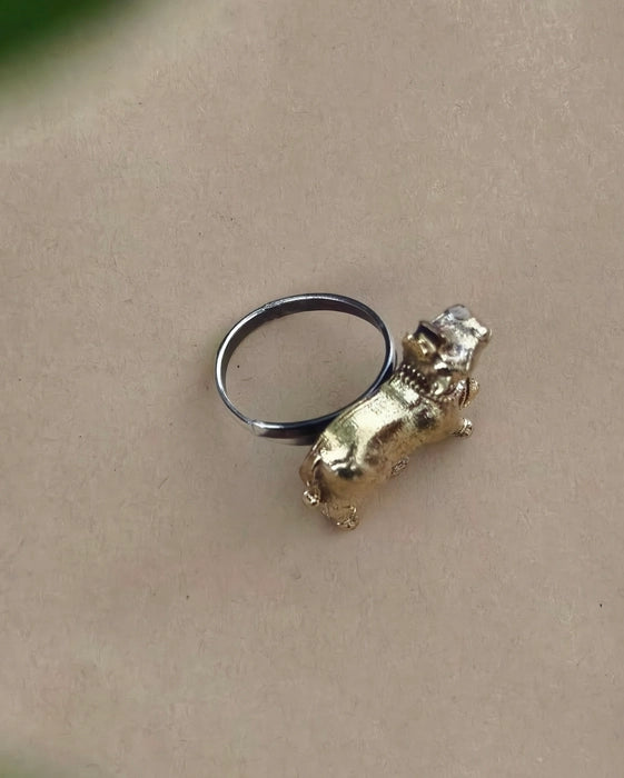 Naandi Dual Tone Ring