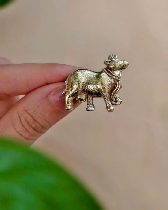 Naandi Dual Tone Ring