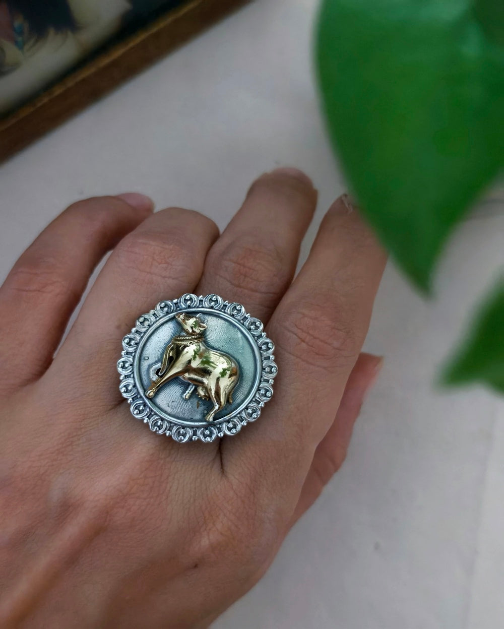 Nandi Dual Tone Ring